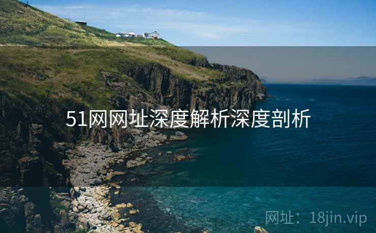 51网网址深度解析深度剖析
