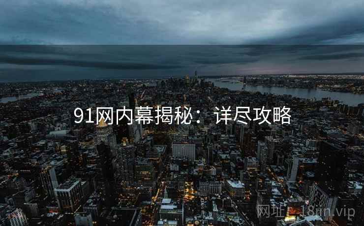 91网内幕揭秘：详尽攻略
