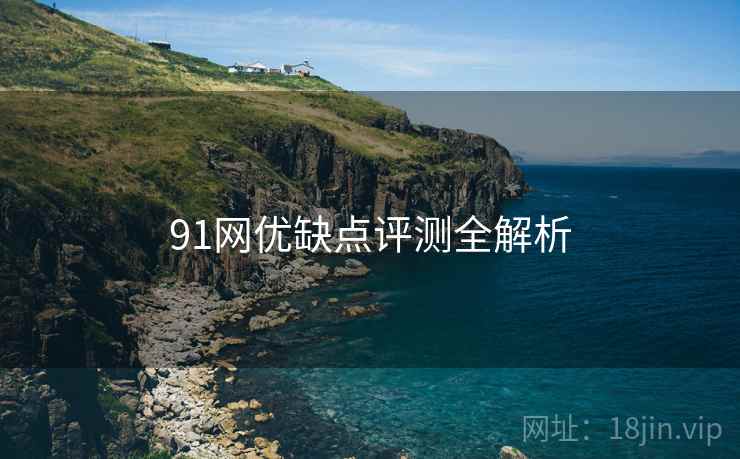 91网优缺点评测全解析 91网优缺点评测全解析